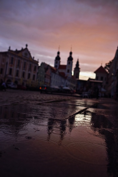DSC_8664.jpg