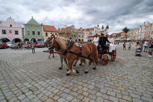 IMG 4476