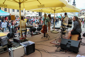 IMG 4522