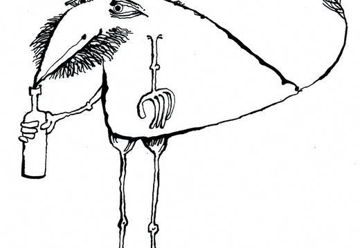 Mikiho divní ptáci