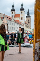 telc30-20