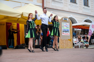 telc30-17