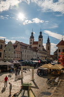 telc31-6