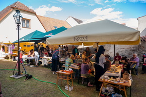 telc1-8