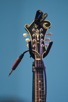 DSC5065
