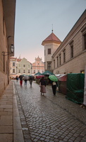 DSC4296